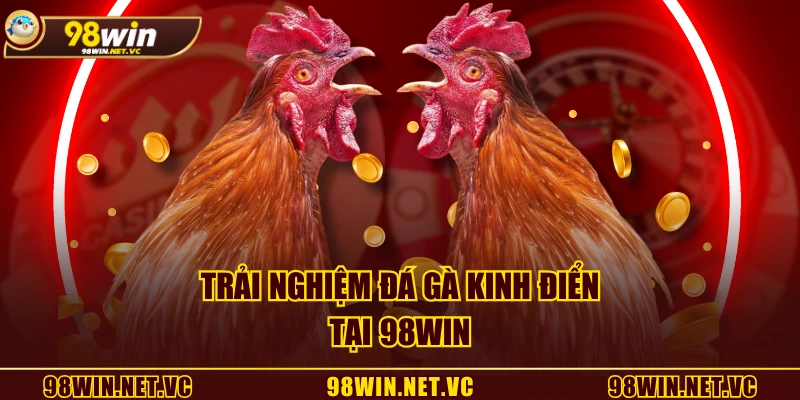 Trải nghiệm đá gà kinh điển tại 98WIN